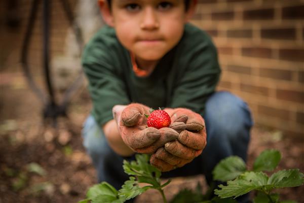 A young student holds plants from the garden.